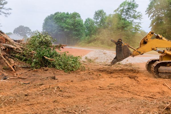 Ground Clearing in Muncie