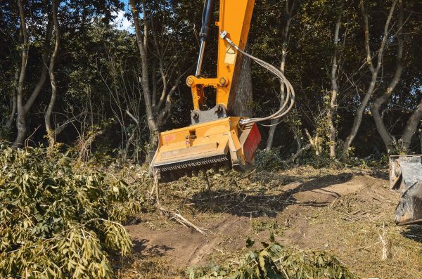 Brush Removal Service in Muncie