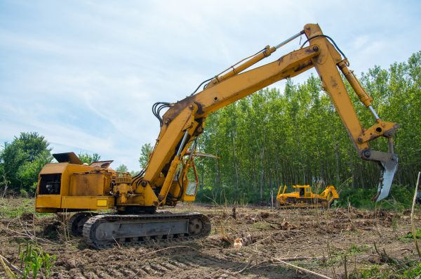 Farm Clearing in Muncie