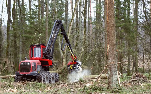 Forest Clearance Service in Muncie