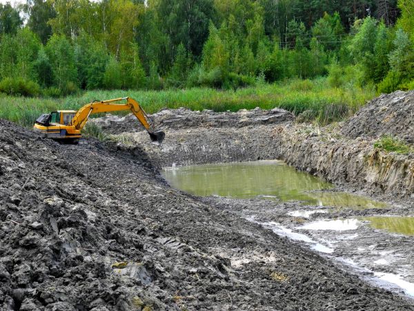 Lake Lot Clearing in Muncie