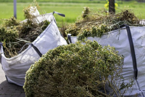 Cost of Bushes Clearing in Muncie
