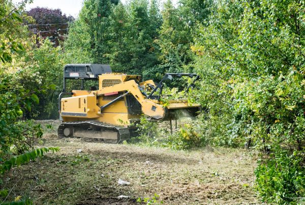 Pathway Clearing in Muncie