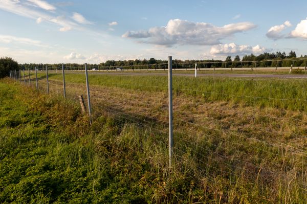 Property Line Clearing in Muncie