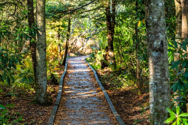 Cost of Trail Clearing in Muncie