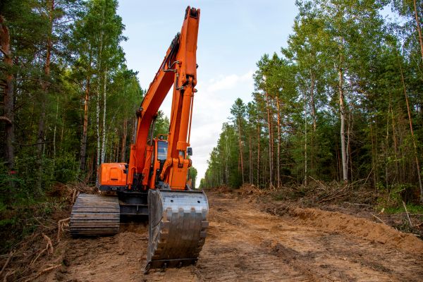Backhoe Land Clearing in Muncie