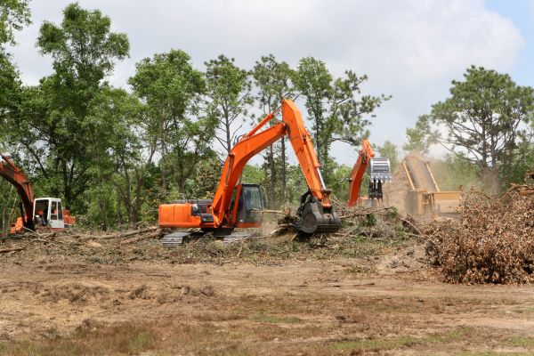Commercial Lot Clearing in Muncie