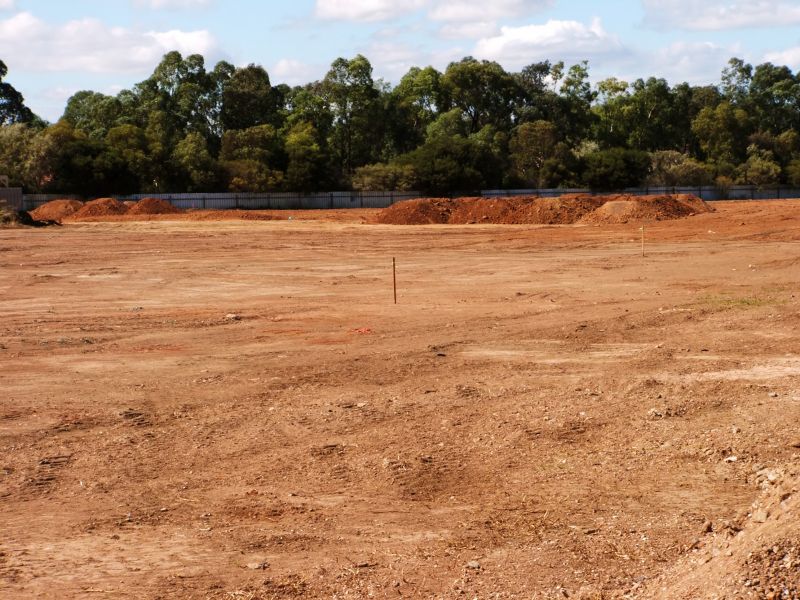 Site Clearing Service